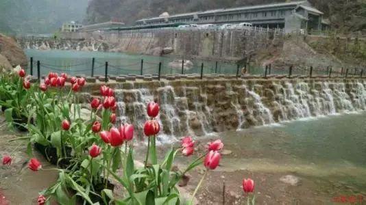 屠龙破晓