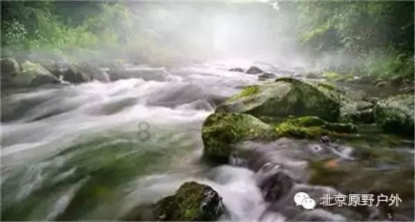 诗经主要内容是啥游戏画面